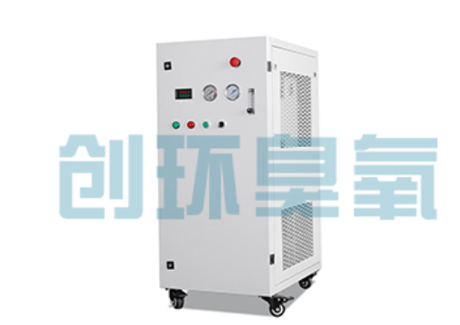 巫溪石斑鱼养殖水质调控完整指南:臭氧发生器配置与操作步骤
