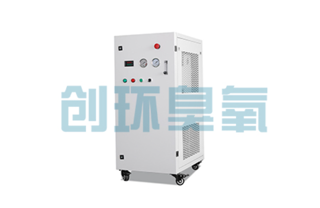 巫溪比传统换水更高效?臭氧发生器在石斑鱼养殖中的水质净化原理解析