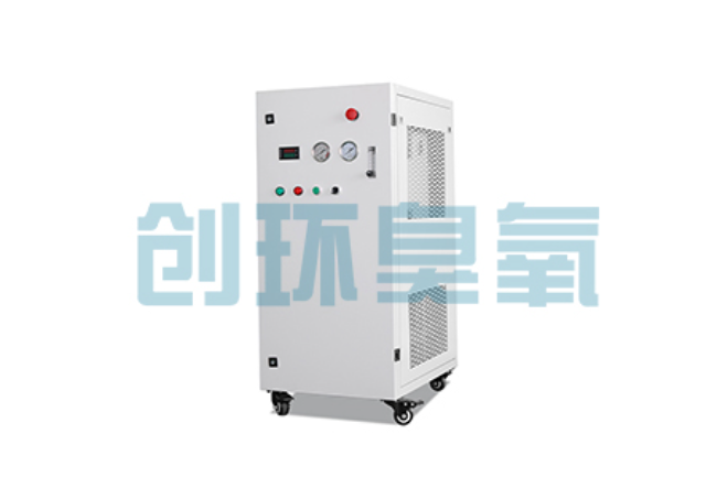 巫溪比传统换水更高效?臭氧发生器在石斑鱼养殖中的水质净化原理解析